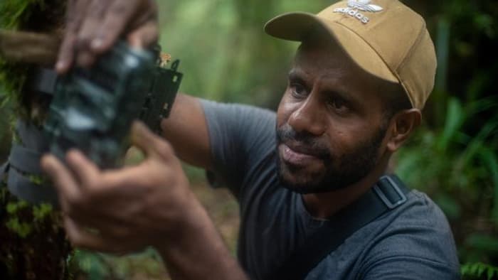 Gison Morib, étudiant à l'université de Cenderawasih (UNCEN) et membre de l'équipe, installe l'un des quatre-vingts pièges photographiques placés dans les monts Cyclopes afin de capturer pour la première fois des images de l'échidné à long bec d'Attenborough.