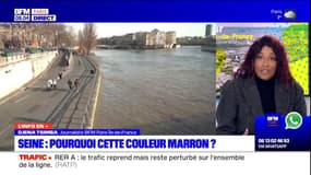 Paris: pourquoi la Seine a-t-elle une couleur marron en ce moment?