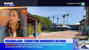 Fermeture de Marineland: pour Juliette Chesnel Leroux, le parc aurait pu "prévoir sa transition"