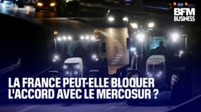  La France peut-elle bloquer l'accord avec le Mercosur ? 