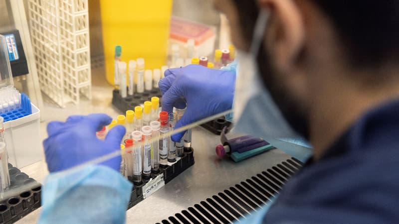 Des échantillons de tests positifs au Covid-19 prêts à être séquencés à l'hôpital Henri Mondor de Créteil, en décembre 2021