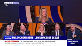 Mélenchon/Faure : le divorce est scellé - 16/01