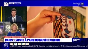 Le coup de pouce de BFM Paris: l'appel à l'aide du Musée en Herbe 