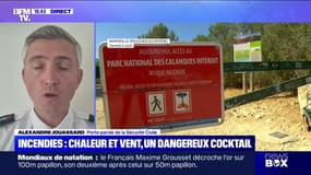 Feux de forêt : "Risque élevé" dans huit départements - 02/08