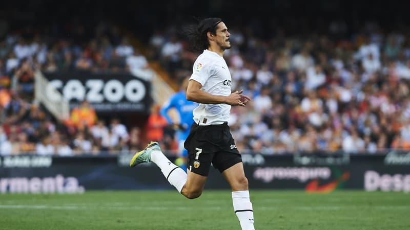 E. Cavani