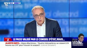 Gilbert Deray (chef du service néphrologie à La Pitié-Salpêtrière): "On est sur un rythme où on sera entre 40.000 et 50.000 cas par jour d'ici le 8 aout"  