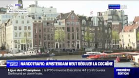 La maire d'Amsterdam veut réguler le marché de la cocaïne
