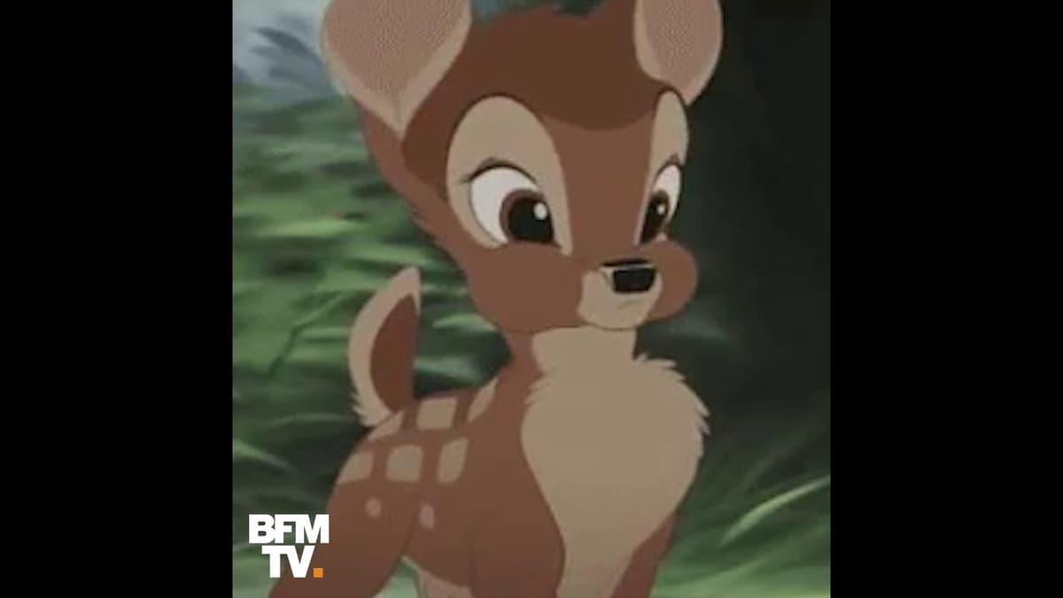 placeholder video