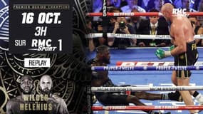 Boxe : Replay du deuxième combat Fury-Wilder avec le TKO monstrueux du Britannique (2020)
