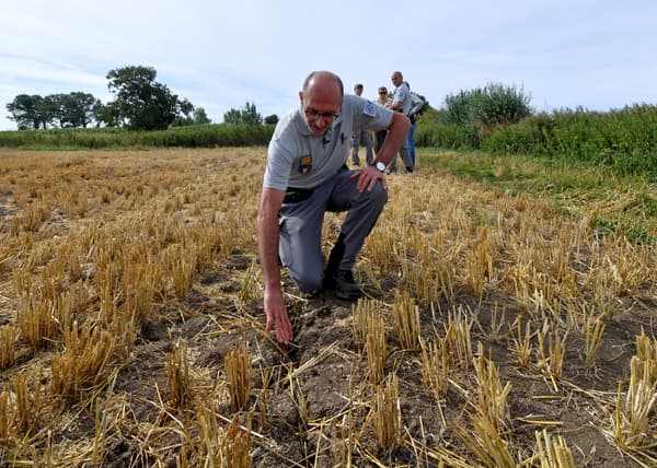 Un membre de l'Office français pour la biodiversité inspecte un champ asséché par le manque de pluies, le 2 août 2022