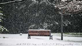 Des chutes de neige à Sorbiers près de Saint-Etienne, le 3 mars 2024. (photo d'illustration)