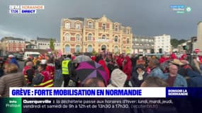 Grève en Normandie: plus de 3000 manifestants au Havre