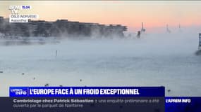 L'Europe fait face à un froid exceptionnel