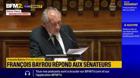 François Bayrou critique Elon Musk qui "s'immisce dans la vie démocratique"