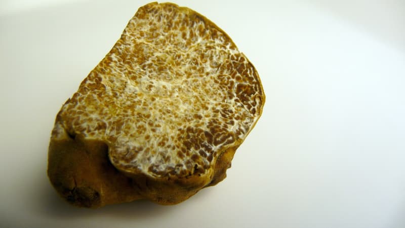 Une truffe blanche du Piémont. (Illustration)