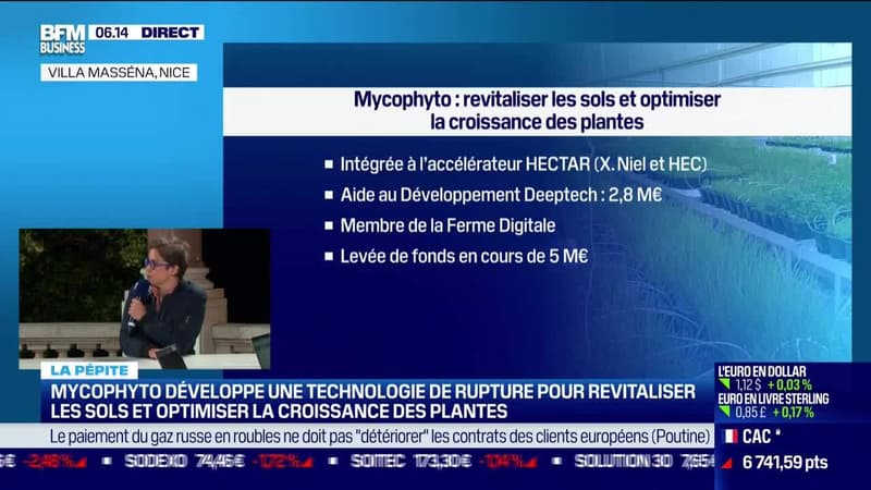 La pépite: Mycophyto développe une technologie de rupture pour revitaliser les sols et optimiser la croissance des plantes, par Lorraine Goumot - 31/03
