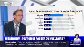 Fermeture de Fessenheim : peut-on se passer du nucléaire en France? 