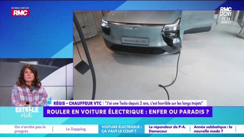 Voiture électrique : "L'autonomie que les constructeurs nous promettent n'est pas vraie", accuse Régis