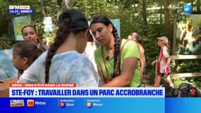 Jobs d'été : travailler au parc accrobranche de Sainte-Foy-lès-Lyon