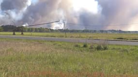 Important feu de forêt à Cissac-Médoc - Témoins BFMTV