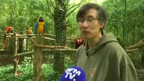 Capture d'écran BFMTV. Jérôme Vuillamy, responsable du "parc des perroquets" de Bren, dans le département de la Drôme.