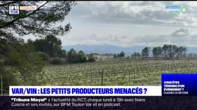 Var: les petits producteurs de vin menacés? 