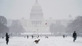 Des gens jouent avec leur chien sur le National Mall lors d'une tempête de neige le 31 janvier 2021, à Washington, DC.