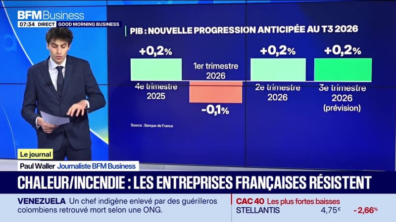 Canicule : les entreprises résistent
