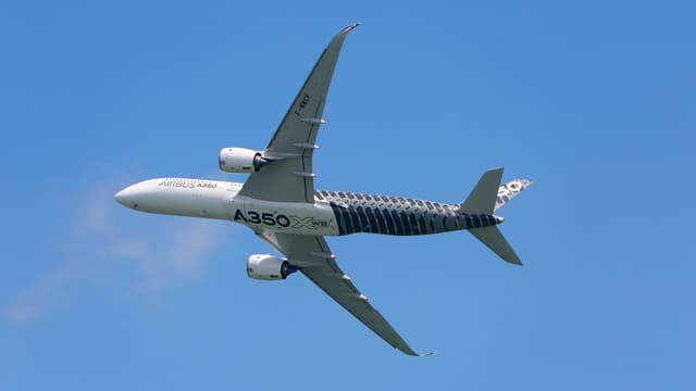 Airbus emploie 15.000 personnes en Grande-Bretagne, dans des activités comme la production d'ailes pour les avions de ligne, des satellites ou des hélicoptères.