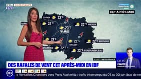 Météo Paris-Île-de-France du 27 juin : Des éclaircies ce matin en Île-de-France