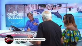 Marineland: "On en fait plus pour les animaux que pour des enfants qui sont en train de mourir"