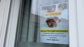 Des habitants alertent les propriétaires de chiens à Marquette-lez-Lille après la découverte de boulettes de viande empoisonnées.