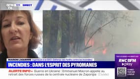 Comment les enquêteurs définissent-ils les causes des incendies?