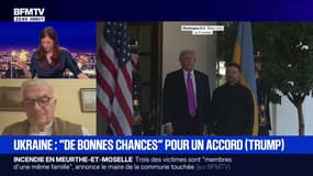 Ukraine : "de bonnes chances" pour un accord (Trump) - 30/11