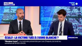 "Je le demande depuis longtemps": après la fusillade d'Écully, le maire demande que le quartier soit reclassé en "zone prioritaire"  