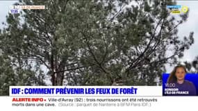 L'essentiel de l'actualité parisienne du mardi 3 mai 2022