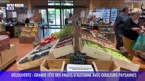 DECOUVERTE : Grande fête des fruits d'automne avec Couleurs Paysannes