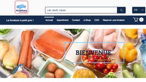 Page d'accueil du faux site Aldi