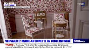 Le château de Versailles va ouvrir dès le 27 juin au public les appartements privés de Marie-Antoinette