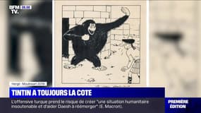 Un dessin de Tintin vendu 250.000 euros aux enchères