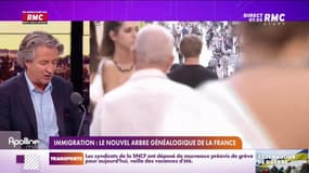 Nicolas Poincaré : Immigration, le nouvel arbre généalogique de la France - 06/07