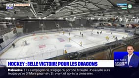 Hockey: les Dragons de Rouen l'emportent aux prolongations face à Angers