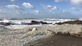 Vendée : mer agitée et écume abondante à l'île d'Yeu  - Témoins BFMTV