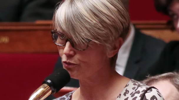 La députée écologiste Véronique Massonneau a été accueillie par des bruits de poule alors qu'elle s'exprimait à l'Assemblée nationale.
