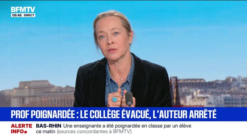 Enseignante poignardée dans le Bas-Rhin: l'élève de 14 ans à l'origine des coups de couteau a été interpellé