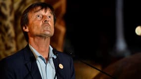 Nicolas Hulot va être remplacé après sa démission du gouvernement.