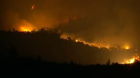 Plus de 200 hectares détruits par le feu dans le Var