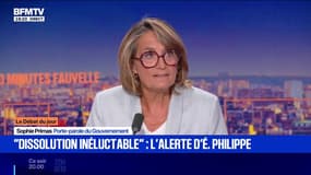 Crise politique: "Cette déstructuration de la droite et de la gauche, on en voit les effets sur le tripartisme", déclare Sophie Primas, porte-parole du Gouvernement