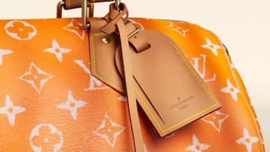 Speedy 40 VIA- Louis Vuitton