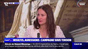 "Il y a un niveau de tension très fort dans la société": Elsa Faucillon, députée PCF-NFP, réagit à l'agression de Prisca Thevenot